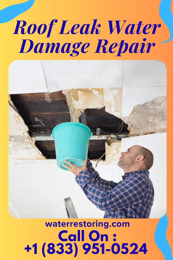 Roof Leak Water Damage Repair in Cantrall, IL