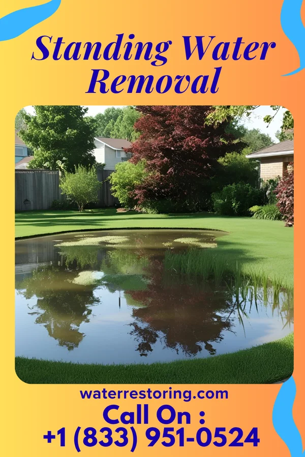 Standing Water Removal in Cantrall, IL